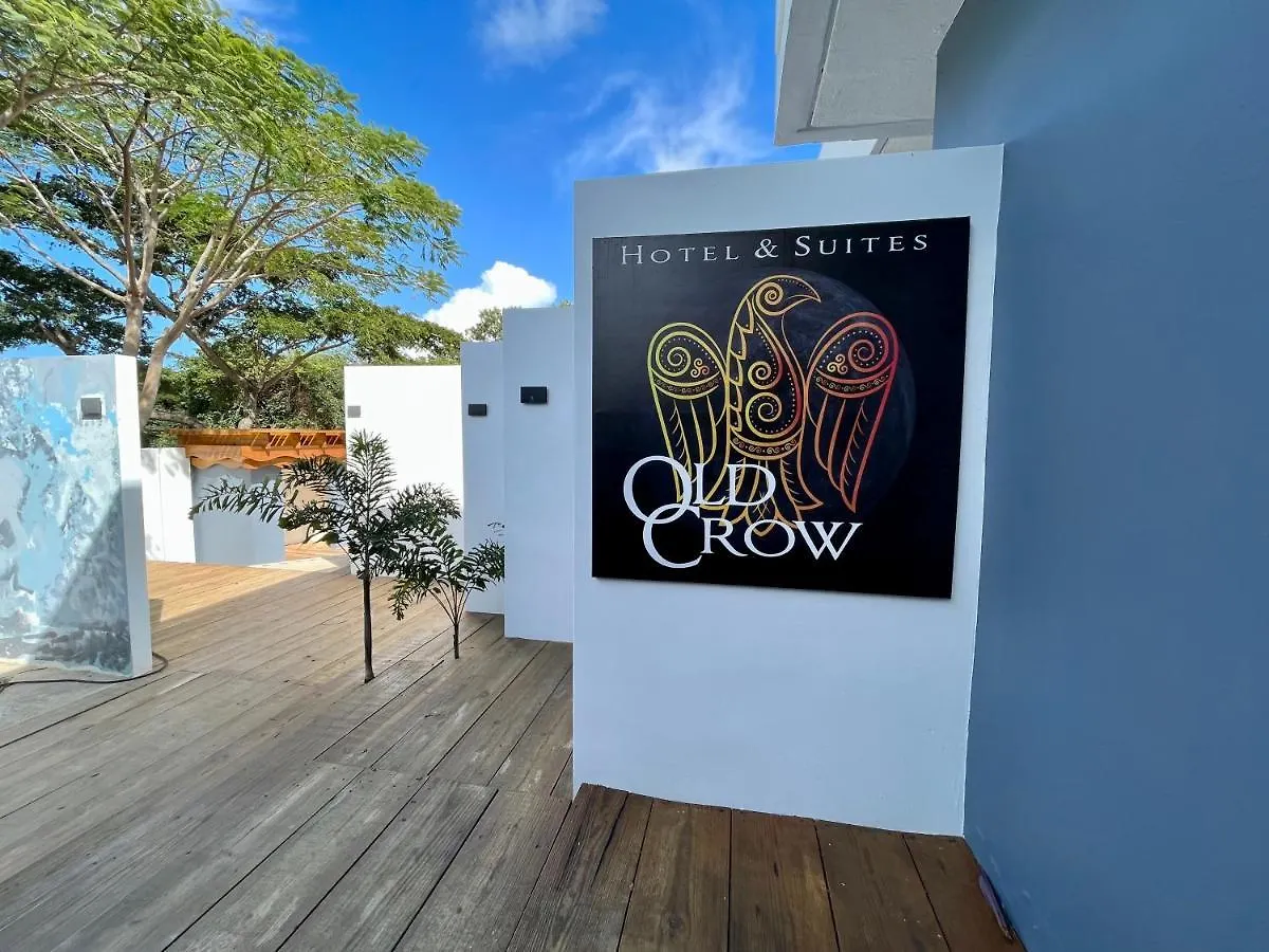 Old Crow Hotel And Suites Vieques 3*,  Puerto Rico